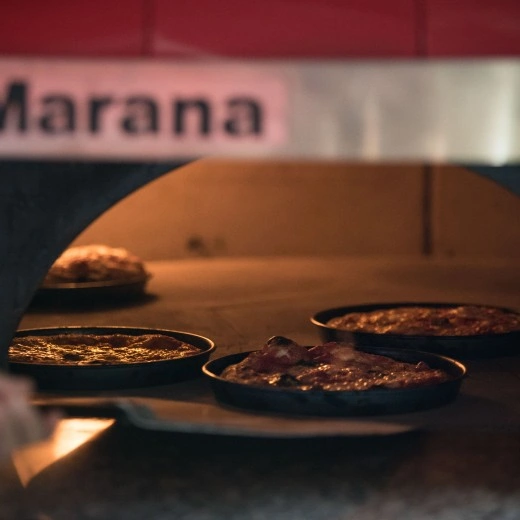 professional wood-fired Neapolitan pizza oven
